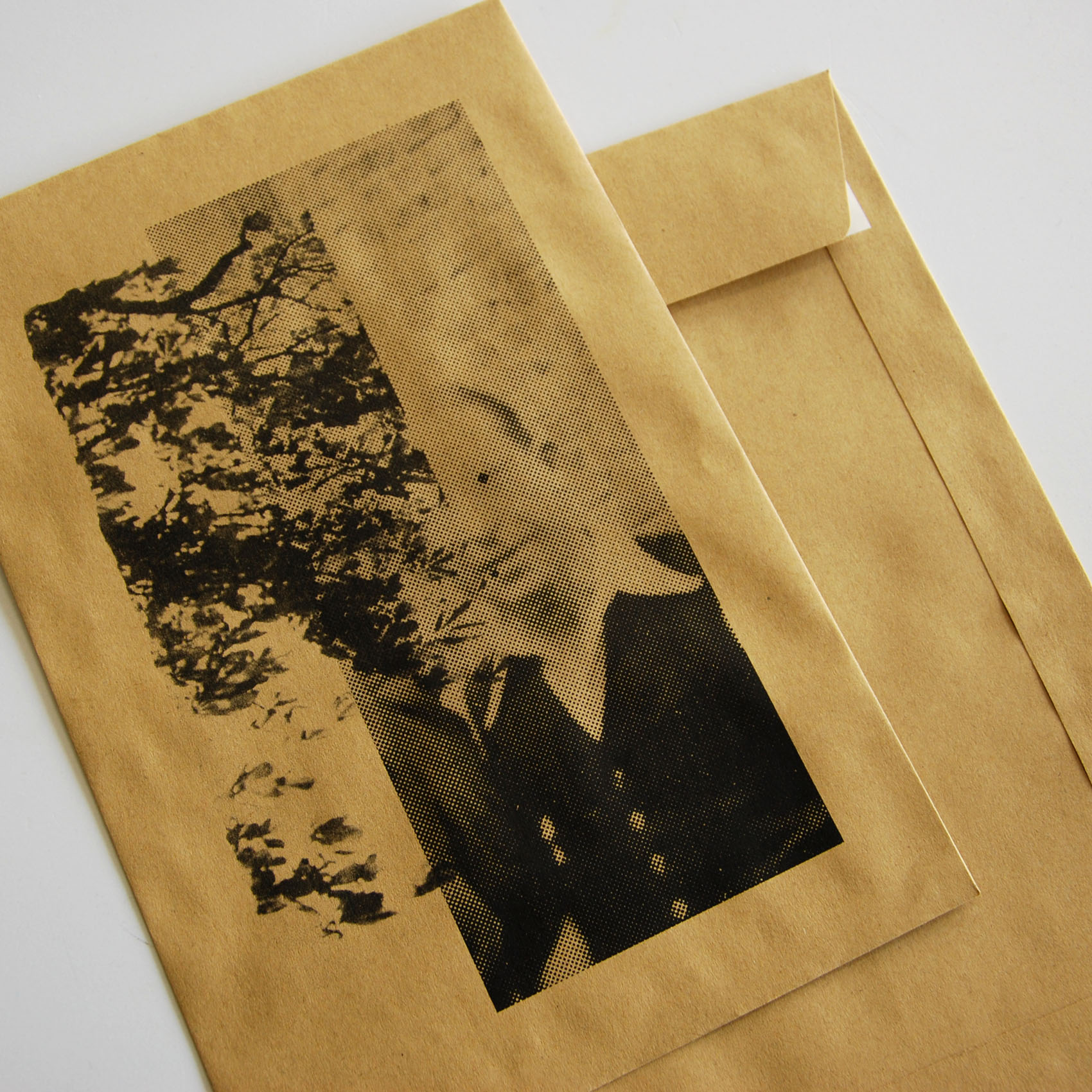 Une des images du projet Macaroni